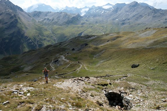 bild-3.jpg
