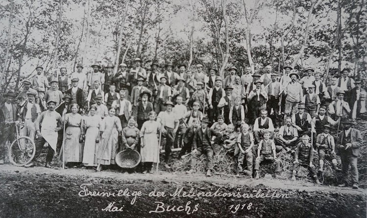 Die Freiwilligen bei der umstrittenen Rodung des Erlenwaldes der Ortsgemeinde Buchs im Mai 1918.